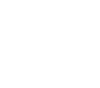 Send-Icon